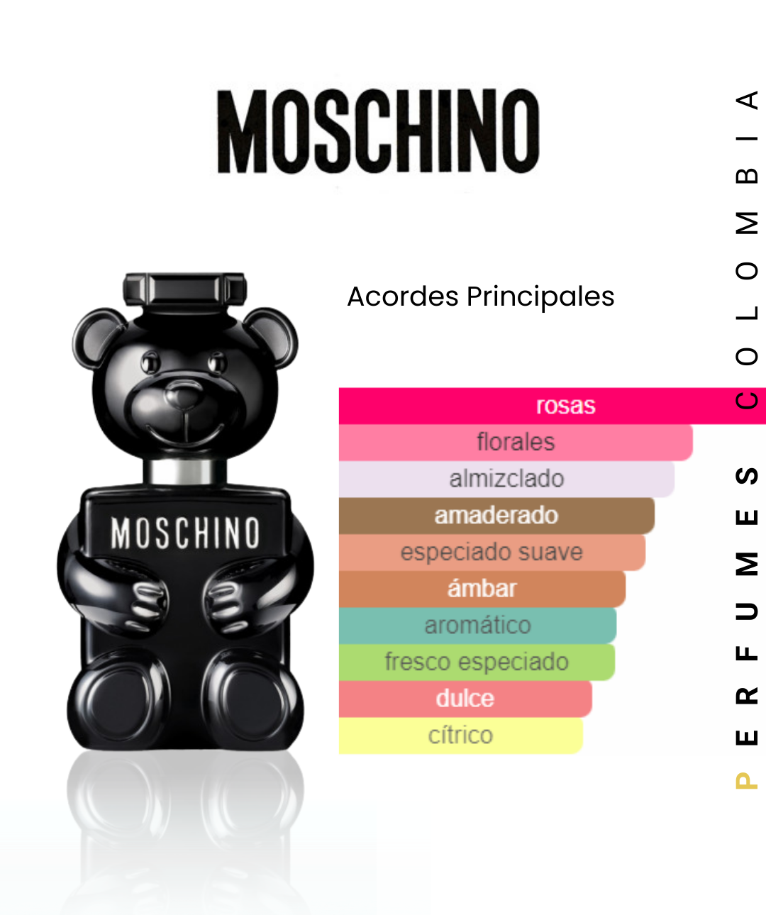 MOSCHINO TOY BOY🔥